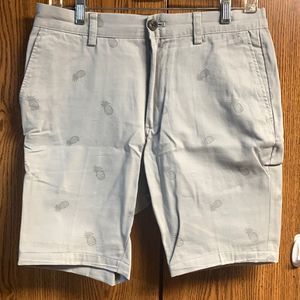Amazon essentials Pineapple Shorts Sz 29 classic Fit